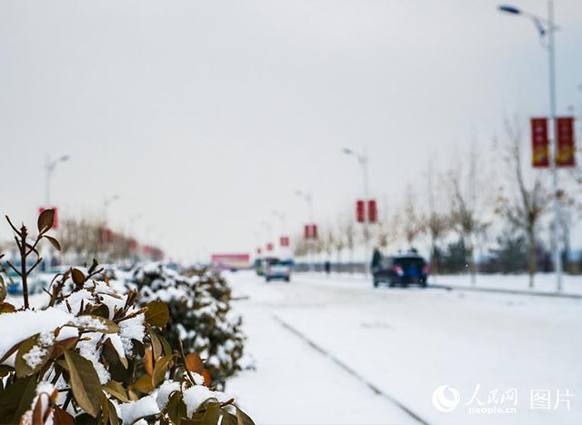 疑是林花昨夜開！雄安迎來2018年第一場雪