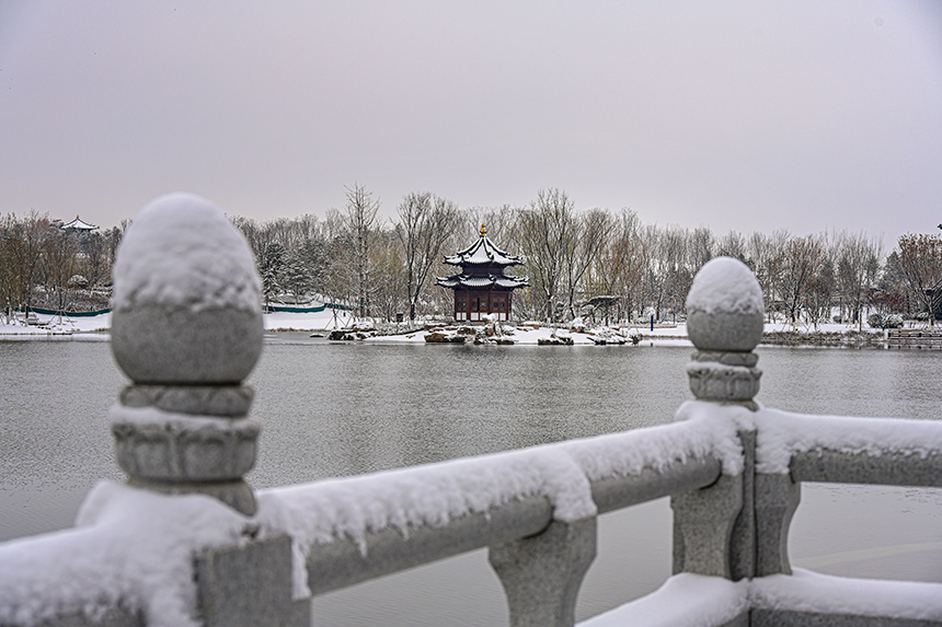 雄安新區(qū)容東片區(qū)園林雪景。胡忠攝