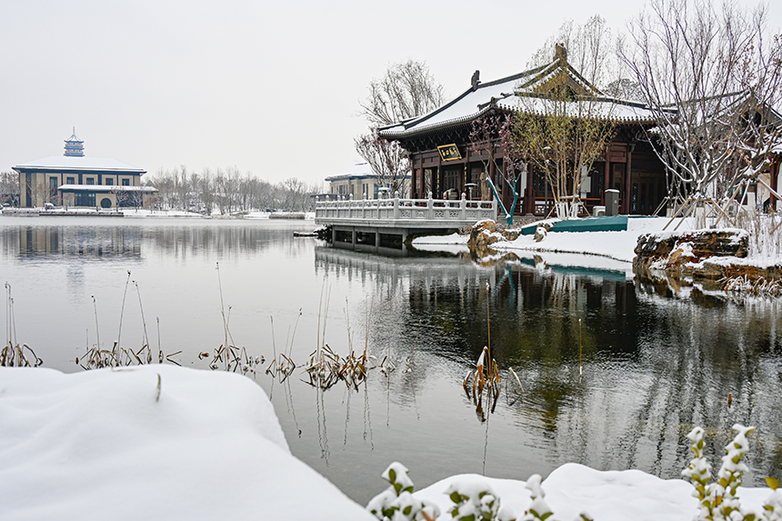 雄安新區(qū)容東片區(qū)園林雪景。胡忠攝